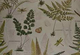 Botanical Print Curtain Fabric - Cxdqtex